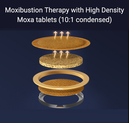 Método de cultivo de plantación artificial Cinco piezas de tabletas de moxibustión para la salud