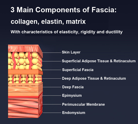 Masajeador de fascia multifuncional con control de botón de calefacción EMS y terapia de luz roja